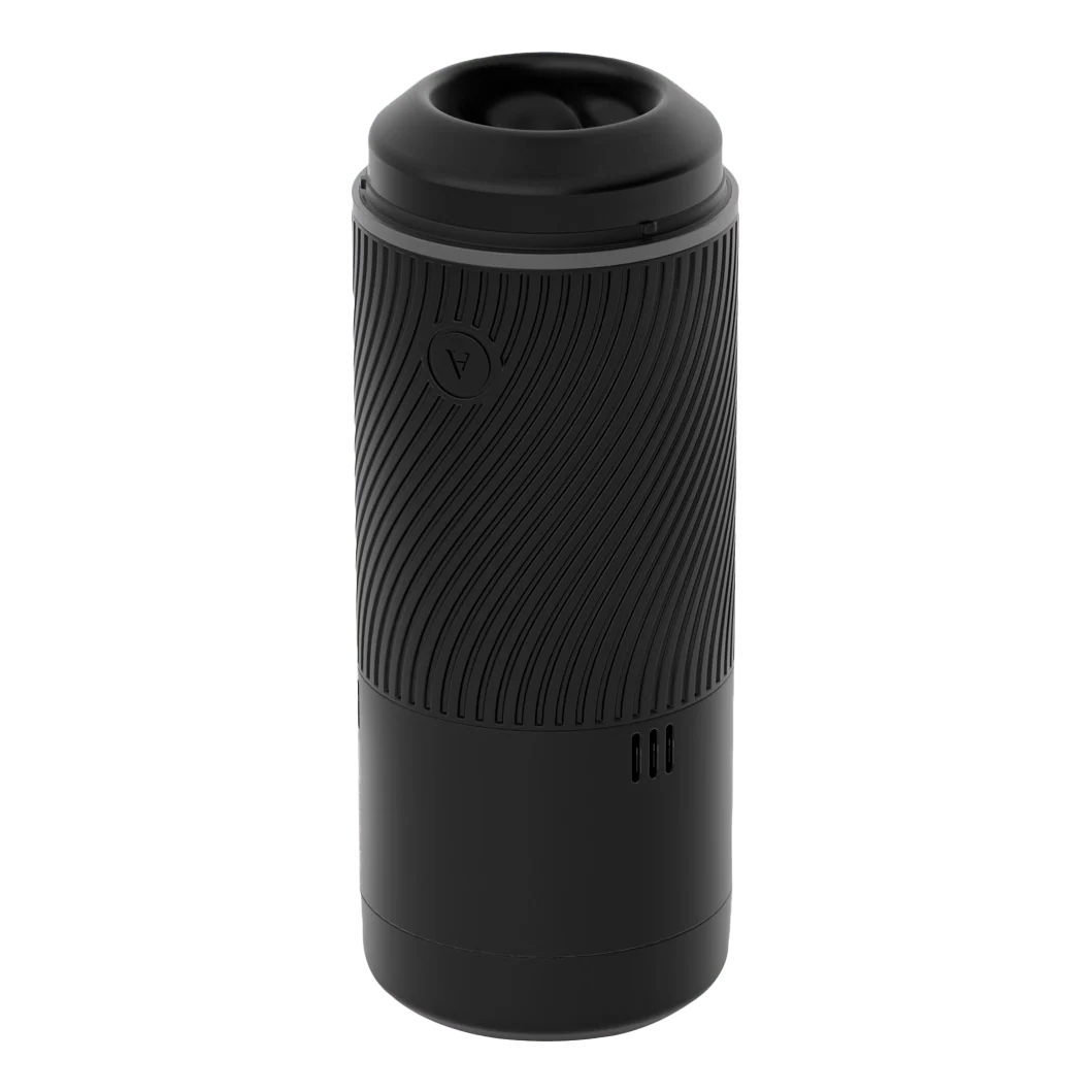 Miniatyr 2